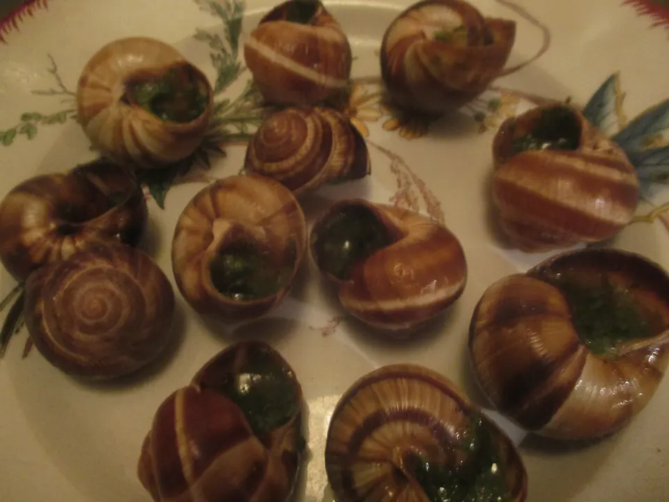 Assiette d’escargots au beurre persillé, vue de dessus