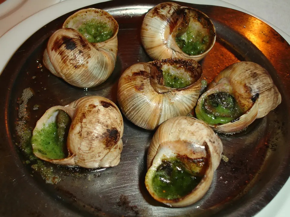 Escargots cuits au beurre d’ail et de persil, dans un plat